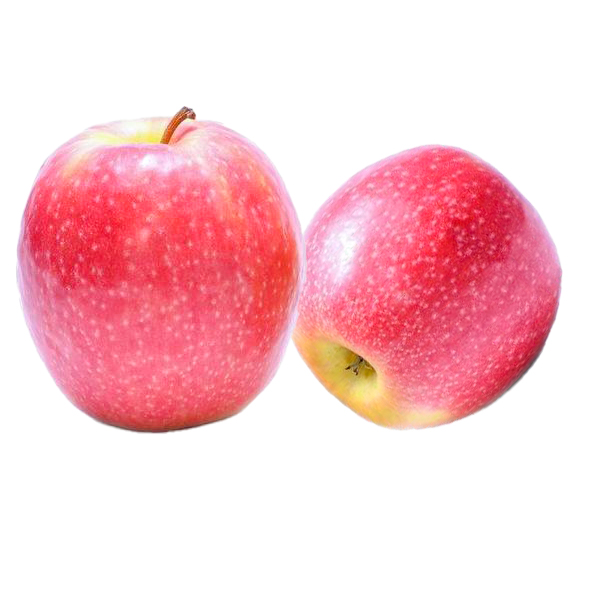 Apple Pink Lady