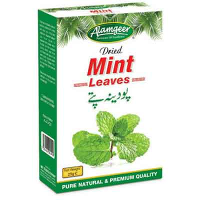 Alamgeer Dried Mint 25G